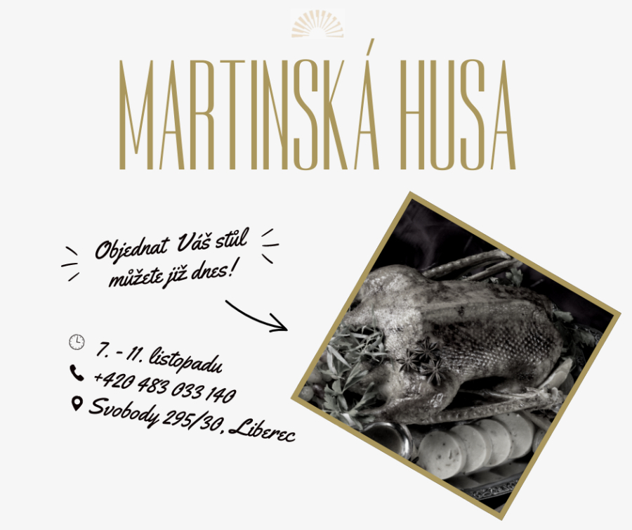 husa25b